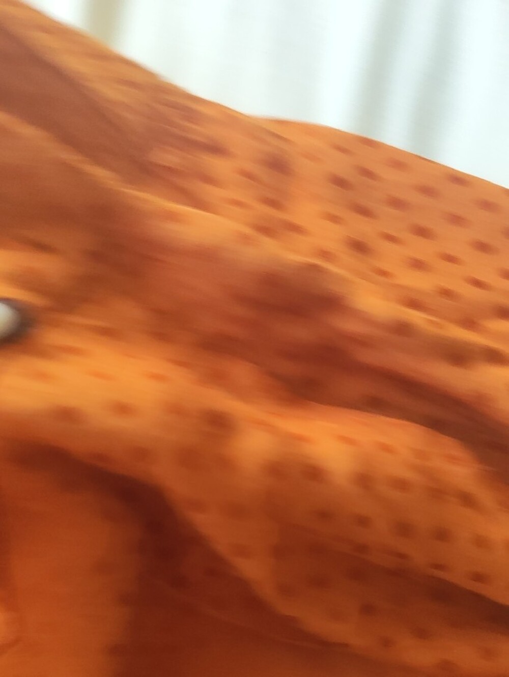 Leith Burnt Orange Dot-Texture Pants - Picture 6 of 9